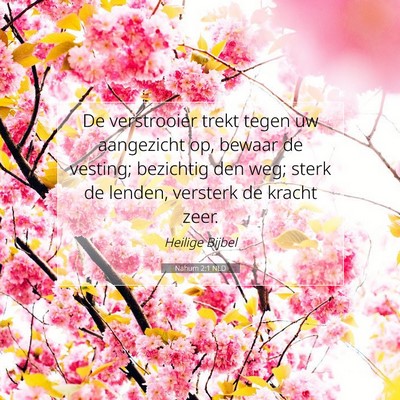 Picture 07 - Nahum 2:1 NLD - De verstrooier trekt tegen uw aangezicht op, - Bible Verse Picture
