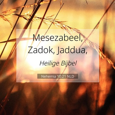 Picture 07 - Nehemia 10:21 NLD - Mesezabeel, Zadok, - Bible Verse Picture
