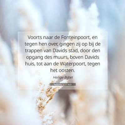 Picture 07 - Nehemia 12:37 NLD - Voorts naar de Fonteinpoort, en tegen hen over, - Bible Verse Picture