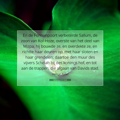 Picture 07 - Nehemia 3:15 NLD - En de Fonteinpoort verbeterde Sallum, de zoon van - Bible Verse Picture
