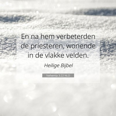 Picture 07 - Nehemia 3:22 NLD - En na hem verbeterden de priesteren, wonende in - Bible Verse Picture