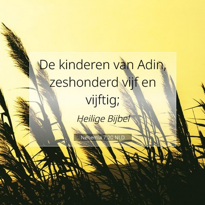 Picture 07 - Nehemia 7:20 NLD - De kinderen van Adin, zeshonderd vijf en - Bible Verse Picture