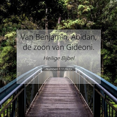 Picture 07 - Numberi 1:11 NLD - Van Benjamin, Abidan, de zoon van - Bible Verse Picture