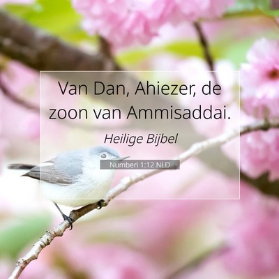 Picture 07 - Numberi 1:12 NLD - Van Dan, Ahiezer, de zoon van - Bible Verse Picture
