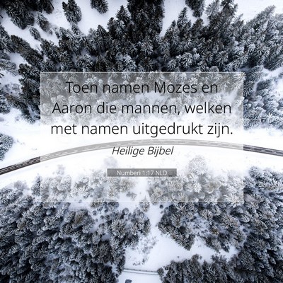 Picture 07 - Numberi 1:17 NLD - Toen namen Mozes en Aaron die mannen, welken met - Bible Verse Picture