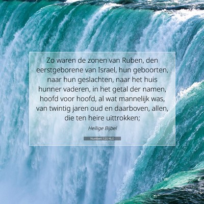 Picture 07 - Numberi 1:20 NLD - Zo waren de zonen van Ruben, den eerstgeborene - Bible Verse Picture