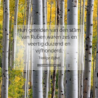 Picture 07 - Numberi 1:21 NLD - Hun getelden van den stam van Ruben waren zes en - Bible Verse Picture