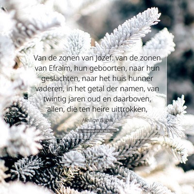 Picture 07 - Numberi 1:32 NLD - Van de zonen van Jozef: van de zonen van Efraim, - Bible Verse Picture