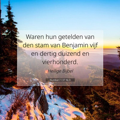 Picture 07 - Numberi 1:37 NLD - Waren hun getelden van den stam van Benjamin vijf - Bible Verse Picture
