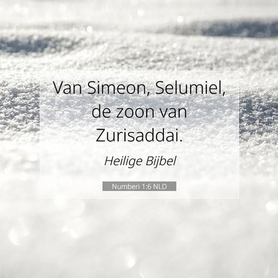 Picture 07 - Numberi 1:6 NLD - Van Simeon, Selumiel, de zoon van - Bible Verse Picture