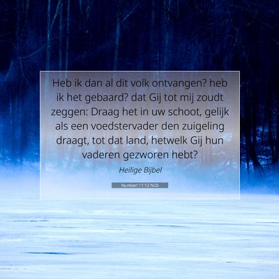 Picture 07 - Numberi 11:12 NLD - Heb ik dan al dit volk ontvangen? heb ik het - Bible Verse Picture