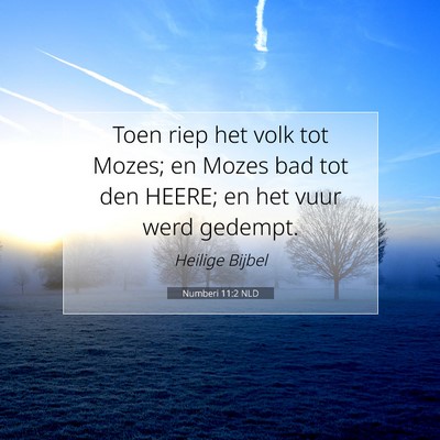 Picture 07 - Numberi 11:2 NLD - Toen riep het volk tot Mozes; en Mozes bad tot - Bible Verse Picture