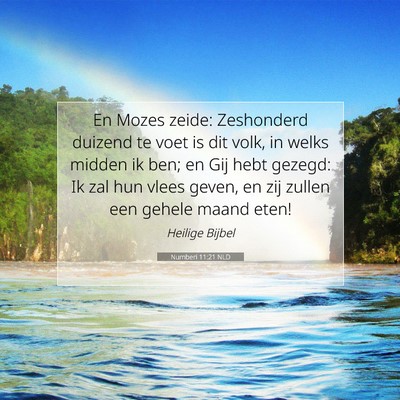 Picture 07 - Numberi 11:21 NLD - En Mozes zeide: Zeshonderd duizend te voet is dit - Bible Verse Picture