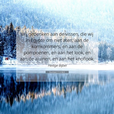 Picture 07 - Numberi 11:5 NLD - Wij gedenken aan de vissen, die wij in Egypte om - Bible Verse Picture