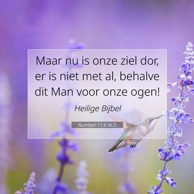 Picture 07 - Numberi 11:6 NLD - Maar nu is onze ziel dor, er is niet met al, - Bible Verse Picture