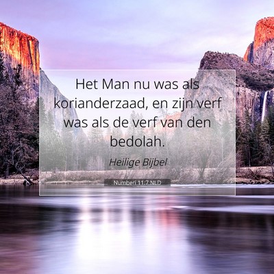 Picture 07 - Numberi 11:7 NLD - Het Man nu was als korianderzaad, en zijn verf - Bible Verse Picture