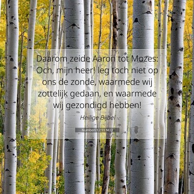 Picture 07 - Numberi 12:11 NLD - Daarom zeide Aaron tot Mozes: Och, mijn heer! leg - Bible Verse Picture