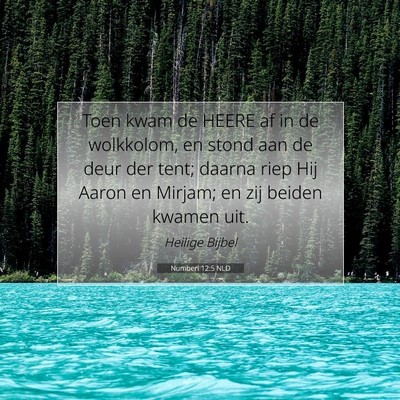 Picture 07 - Numberi 12:5 NLD - Toen kwam de HEERE af in de wolkkolom, en stond - Bible Verse Picture