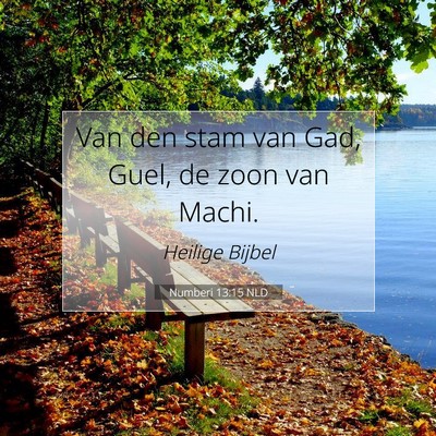 Picture 07 - Numberi 13:15 NLD - Van den stam van Gad, Guel, de zoon van - Bible Verse Picture