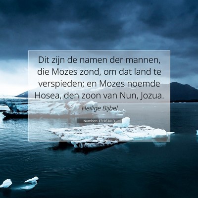 Picture 07 - Numberi 13:16 NLD - Dit zijn de namen der mannen, die Mozes zond, om - Bible Verse Picture
