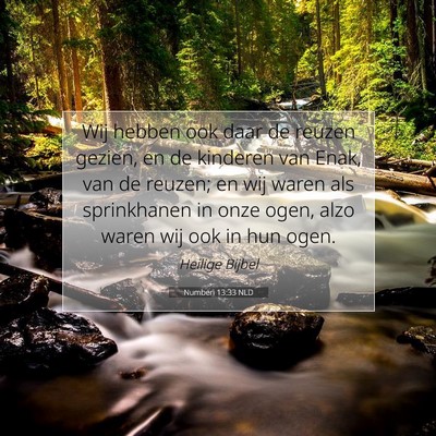 Picture 07 - Numberi 13:33 NLD - Wij hebben ook daar de reuzen gezien, en de - Bible Verse Picture