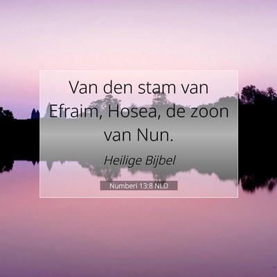 Picture 07 - Numberi 13:8 NLD - Van den stam van Efraim, Hosea, de zoon van - Bible Verse Picture