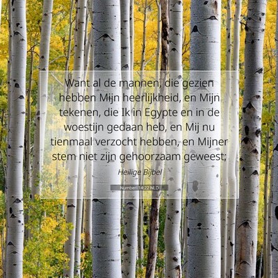 Picture 07 - Numberi 14:22 NLD - Want al de mannen, die gezien hebben Mijn - Bible Verse Picture