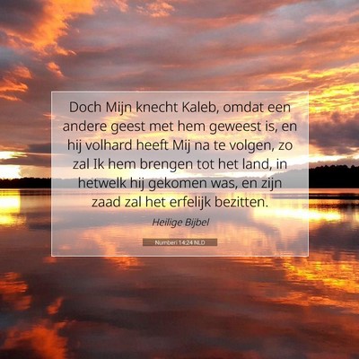 Picture 07 - Numberi 14:24 NLD - Doch Mijn knecht Kaleb, omdat een andere geest - Bible Verse Picture
