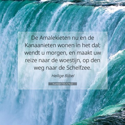 Picture 07 - Numberi 14:25 NLD - De Amalekieten nu en de Kanaanieten wonen in het - Bible Verse Picture