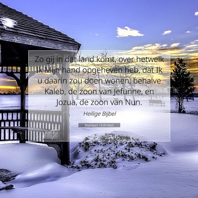 Picture 07 - Numberi 14:30 NLD - Zo gij in dat land komt, over hetwelk Ik Mijn - Bible Verse Picture