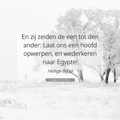 Picture 07 - Numberi 14:4 NLD - En zij zeiden de een tot den ander: Laat ons een - Bible Verse Picture