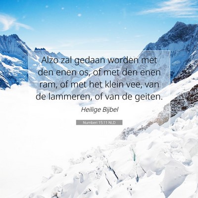 Picture 07 - Numberi 15:11 NLD - Alzo zal gedaan worden met den enen os, of met - Bible Verse Picture