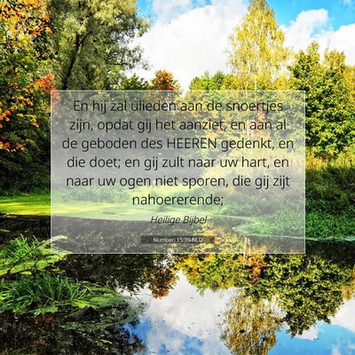 Picture 07 - Numberi 15:39 NLD - En hij zal ulieden aan de snoertjes zijn, opdat - Bible Verse Picture