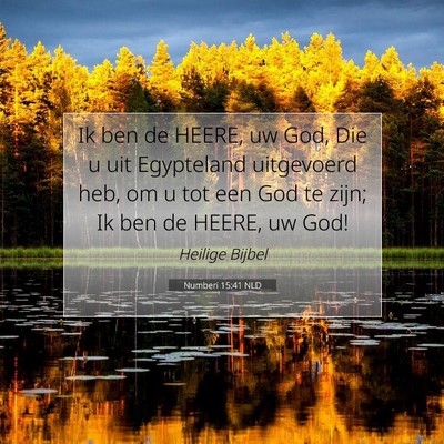 Picture 07 - Numberi 15:41 NLD - Ik ben de HEERE, uw God, Die u uit Egypteland - Bible Verse Picture