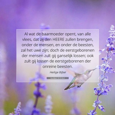 Picture 07 - Numberi 18:15 NLD - Al wat de baarmoeder opent, van alle vlees, dat - Bible Verse Picture