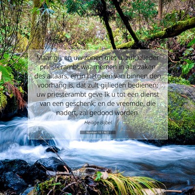 Picture 07 - Numberi 18:7 NLD - Maar gij, en uw zonen met u, zult ulieder - Bible Verse Picture