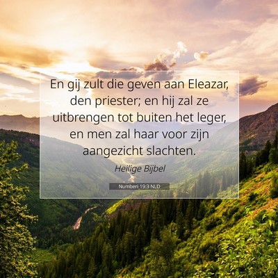 Picture 07 - Numberi 19:3 NLD - En gij zult die geven aan Eleazar, den priester; - Bible Verse Picture