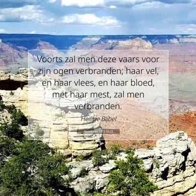 Picture 07 - Numberi 19:5 NLD - Voorts zal men deze vaars voor zijn ogen - Bible Verse Picture