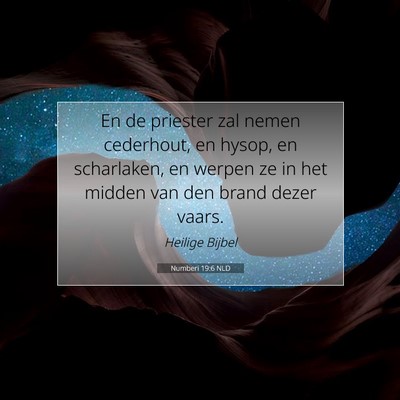 Picture 07 - Numberi 19:6 NLD - En de priester zal nemen cederhout, en hysop, en - Bible Verse Picture