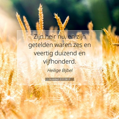 Picture 07 - Numberi 2:11 NLD - Zijn heir nu, en zijn getelden waren zes en - Bible Verse Picture