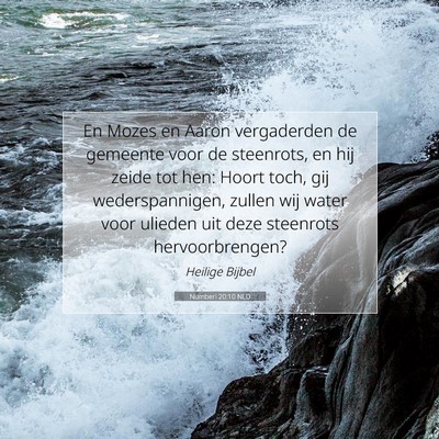 Picture 07 - Numberi 20:10 NLD - En Mozes en Aaron vergaderden de gemeente voor de - Bible Verse Picture