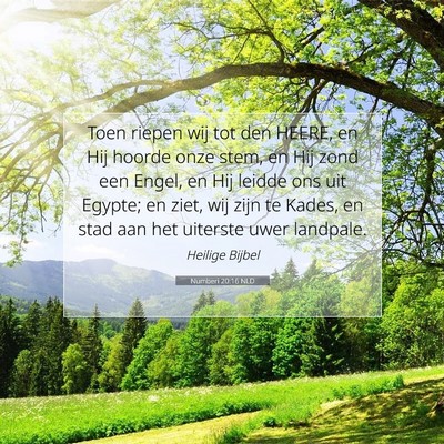 Picture 07 - Numberi 20:16 NLD - Toen riepen wij tot den HEERE, en Hij hoorde onze - Bible Verse Picture