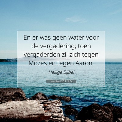 Picture 07 - Numberi 20:2 NLD - En er was geen water voor de vergadering; toen - Bible Verse Picture