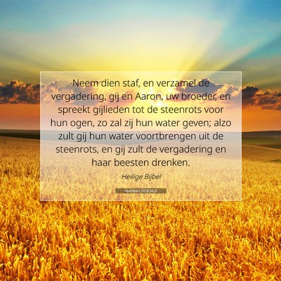 Picture 07 - Numberi 20:8 NLD - Neem dien staf, en verzamel de vergadering, gij - Bible Verse Picture