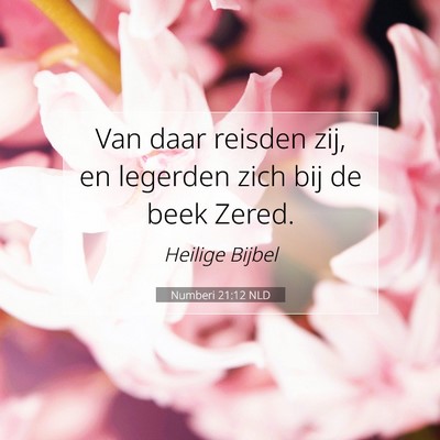 Picture 07 - Numberi 21:12 NLD - Van daar reisden zij, en legerden zich bij de - Bible Verse Picture