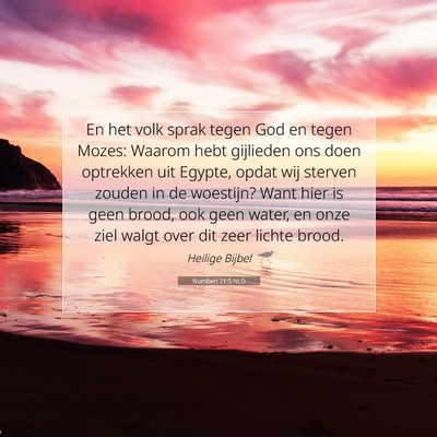 Picture 07 - Numberi 21:5 NLD - En het volk sprak tegen God en tegen Mozes: - Bible Verse Picture