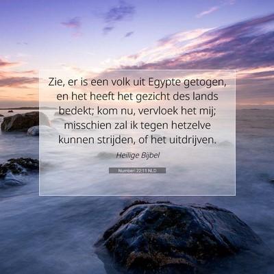 Picture 07 - Numberi 22:11 NLD - Zie, er is een volk uit Egypte getogen, en het - Bible Verse Picture