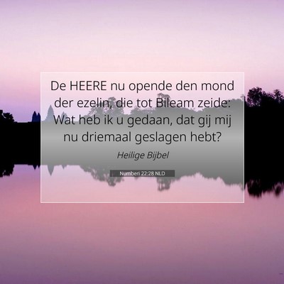Picture 07 - Numberi 22:28 NLD - De HEERE nu opende den mond der ezelin, die tot - Bible Verse Picture