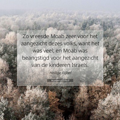 Picture 07 - Numberi 22:3 NLD - Zo vreesde Moab zeer voor het aangezicht dezes - Bible Verse Picture