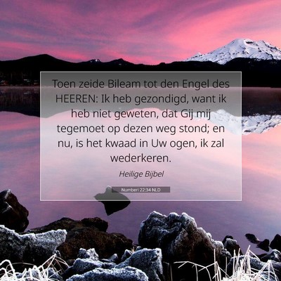 Picture 07 - Numberi 22:34 NLD - Toen zeide Bileam tot den Engel des HEEREN: Ik - Bible Verse Picture